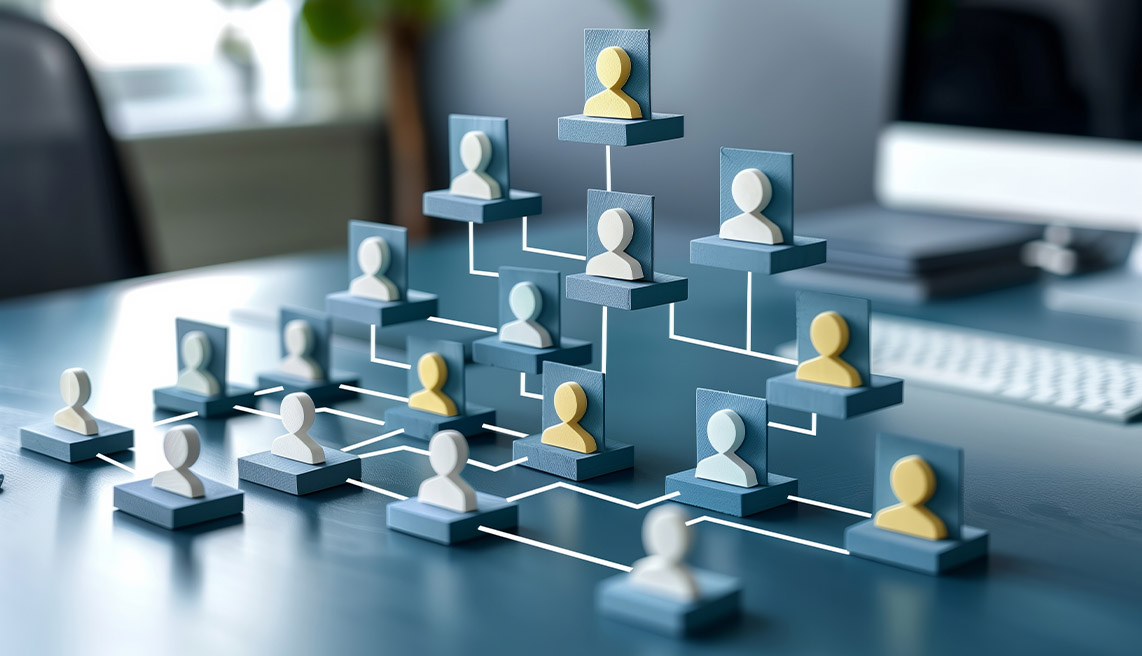 Organisation structure